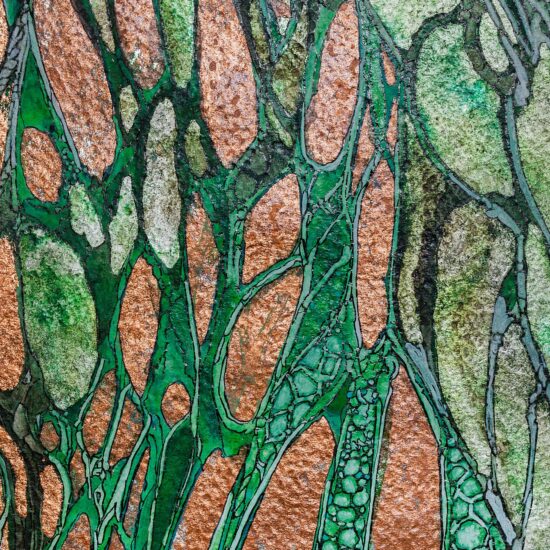 Joshua Cosimo Art Florence Italy Punta Negra Uruguay Fukushima flowers feast of friends detail