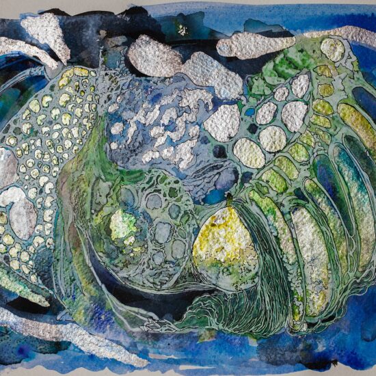 Joshua Cosimo Art Florence Italy Punta Negra Uruguay Fukushima flowers astral portals