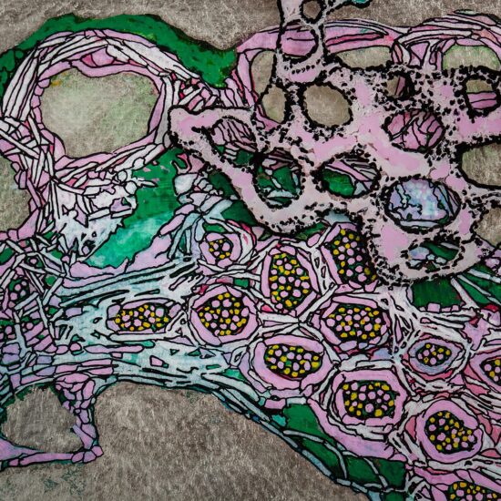 Joshua Cosimo Art Florence Italy Punta Negra Uruguay Fukushima flowers enmeshment detail