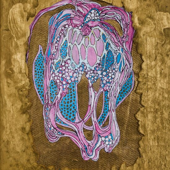 Joshua Cosimo Art Florence Italy Punta Negra Uruguay Fukushima flowers le due facce di Eva 2