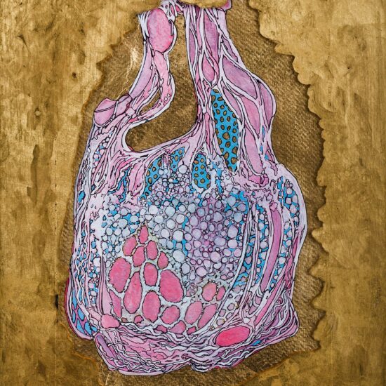 Joshua Cosimo Art Florence Italy Punta Negra Uruguay Fukushima flowers le due facce di Eva 1