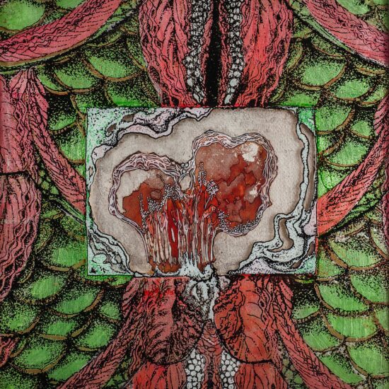 Joshua Cosimo Art Florence Italy Punta Negra Uruguay Fukushima flowers Stasis